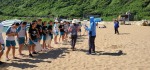 20200622 大武崙淨灘沙雕活動:20200622_084011